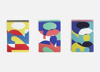 THE DRAWING NOTEBOOKS