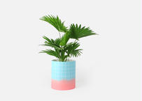 PAPER COVER POTS_タイルL